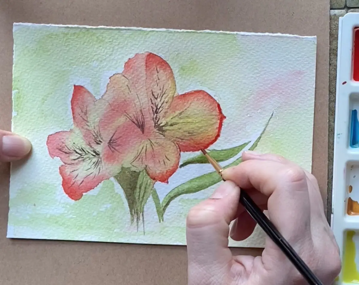 Watercolour drawing pink flower