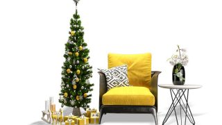 Why slim pencil Christmas trees in your décor